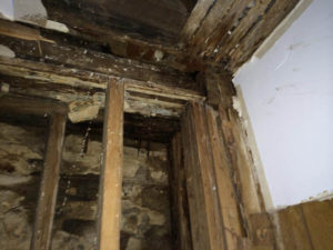 Help Restoration - water damage - roof leak - complete renovation ambler 01