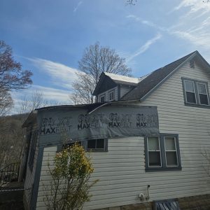 Tree Damage Restoration
