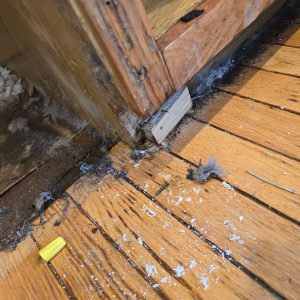 Water Damage Restoration