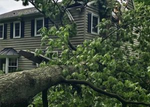 storm damage