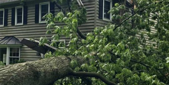 storm damage